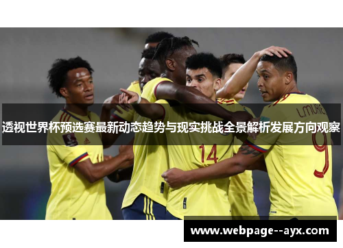 透视世界杯预选赛最新动态趋势与现实挑战全景解析发展方向观察